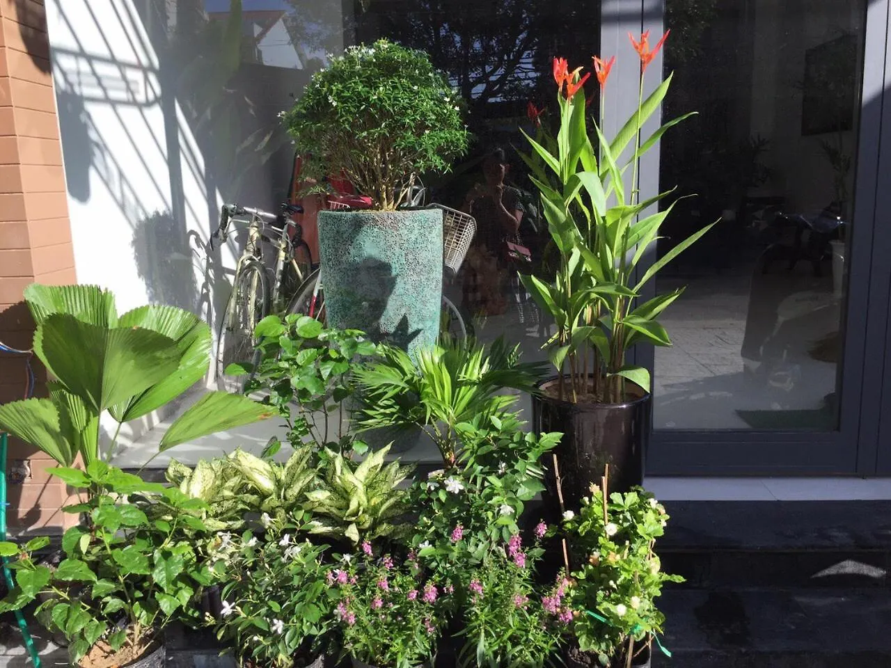 La An Homestay Hoi An Vietname